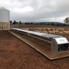 Auto Sheep Feeder
