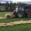Pasture Hay 5x4 Rolls 
