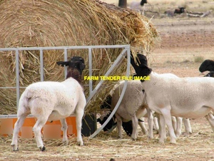 WANTED Hay Feeder x 2