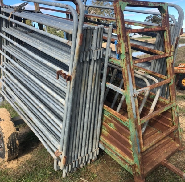 18 Panel Portable cattle yards w 3 Main Gates