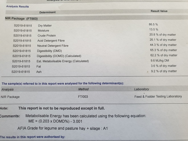 Shedded Medic Hay.    No weather Damage
