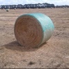 Perennial Ryegrass Straw Deliverd