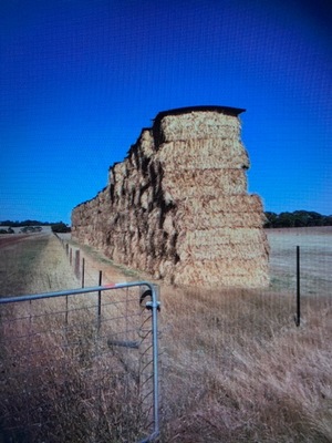 Under Auction - 250 8x4x3 Bales of Wheaten Straw, Header Trailed 480+ Kg's - Sold By The Ton -