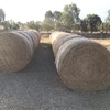Lucerne Hay Rolls 