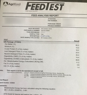 44mt Canola Hay 8x4x3 620-650 8x4x3 Bales 