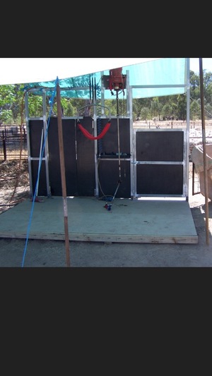 Single shearing stand