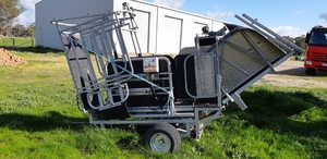 Gallagher Sheep Handler