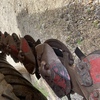 New Holland H7450 Discbine