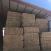 400 Canola Hay 8x4x3 Bales ex farm