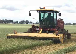 New Holland HW340 Windrower