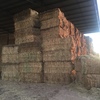 Oaten Hay - Big Squares