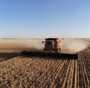 !! Harvesting !! Case 8240 40ft front set up for 12m CTF 