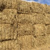 100 x Wheaten Straw 460kg 8x4x3 Bales