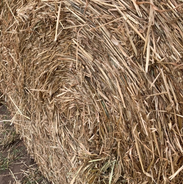 40 x Oaten Hay 5x4 Round Bales