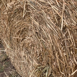 40 x Oaten Hay 5x4 Round Bales