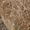 40 x Oaten Hay 5x4 Round Bales