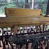 Connor Shea Seeder with roller