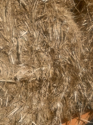 1000mt Wheaten Straw 8x4x3 Bales