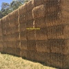 **New Season Barley Straw 550kg Bales**