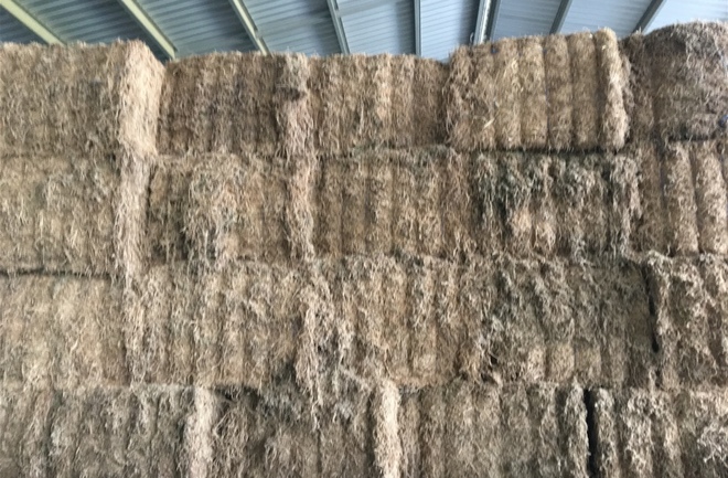 70m/t Vetch Hay Shedded 8x4x3 Bales