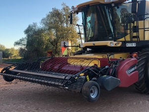 Case 2016 Canola Pick Up Front