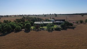 'Wheogo'  842 Acres Cropping