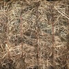 250 x 500kg 8x4x3 Bales of New Season Hay (2 Varieties) 