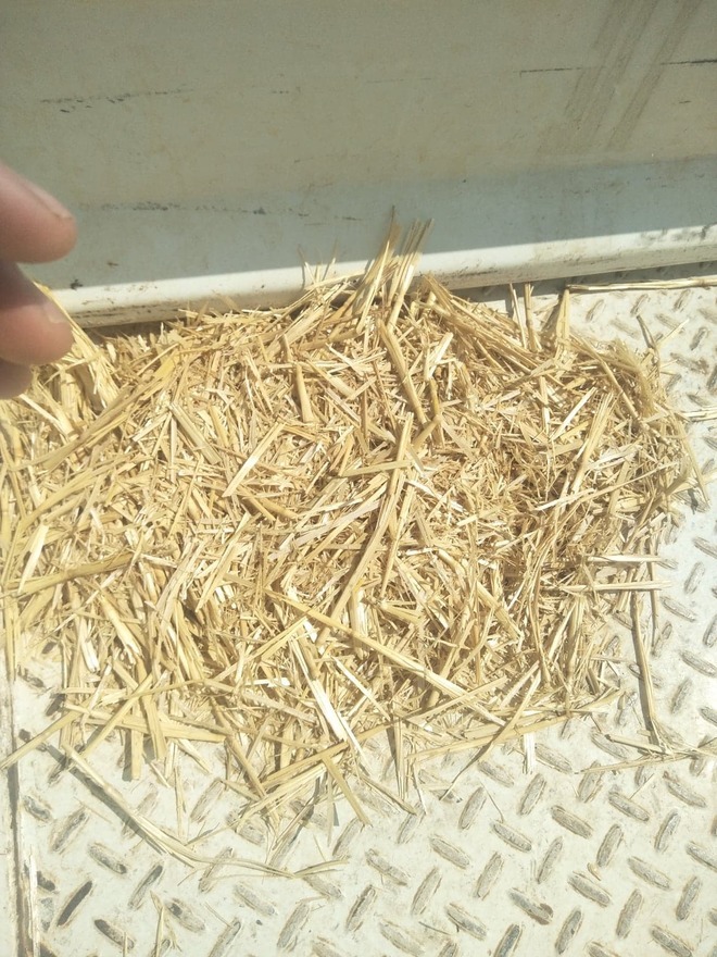 Wheaten Straw: High Density Bales - 500T (45 min from VIC/NSW border)