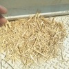 Wheaten Straw: High Density Bales - 500T (45 min from VIC/NSW border)