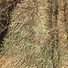 300mt Wheaten Hay 600+kg 8x4x3 Bales