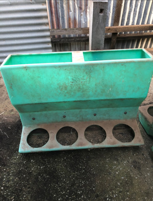 Sheep Feeder