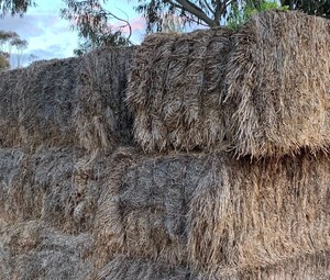 Organic Compost Hay