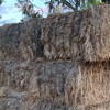 Organic Compost Hay