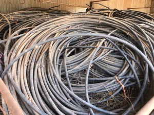 17 mm Dripper hose and Drippers attached