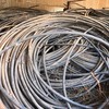 17 mm Dripper hose and Drippers attached