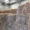 200 Small Square Bales of Pasture Hay