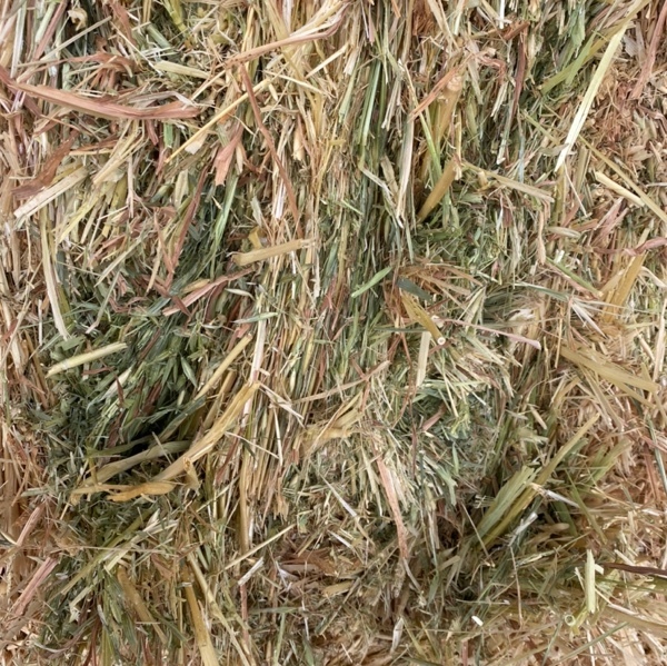 Oat/Wheat Hay 