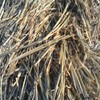 Wheaten Hay 8x4x3 Bales