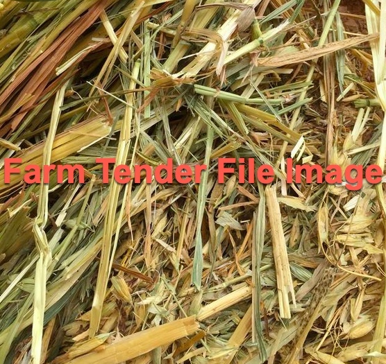 60 x Pea/Oaten Hay Rolls