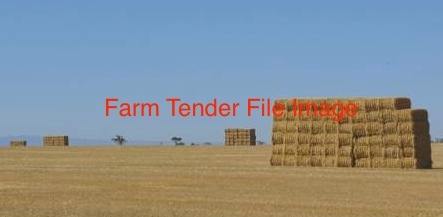 EOI Cereal Hay ex paddock 'New Season'