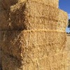 270m/t Oaten Hay in 8x4x3 Bales