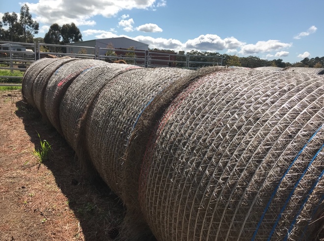 25 x Grass/Clover Hay 5x4 Round Bales