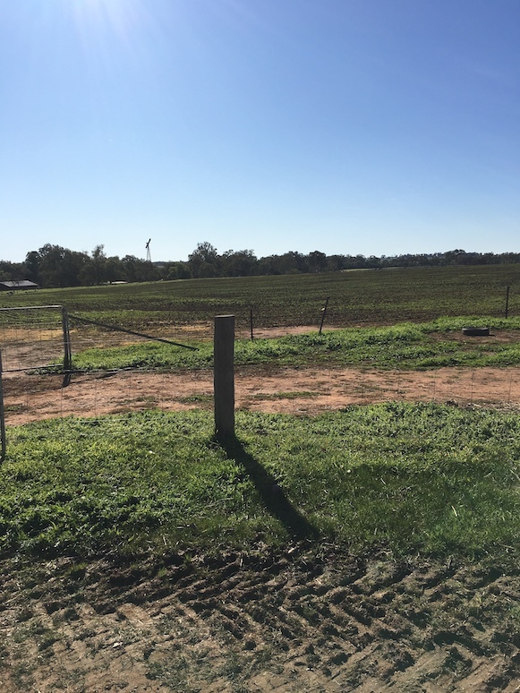 Hardwood Strainer Posts 150 to 200mm