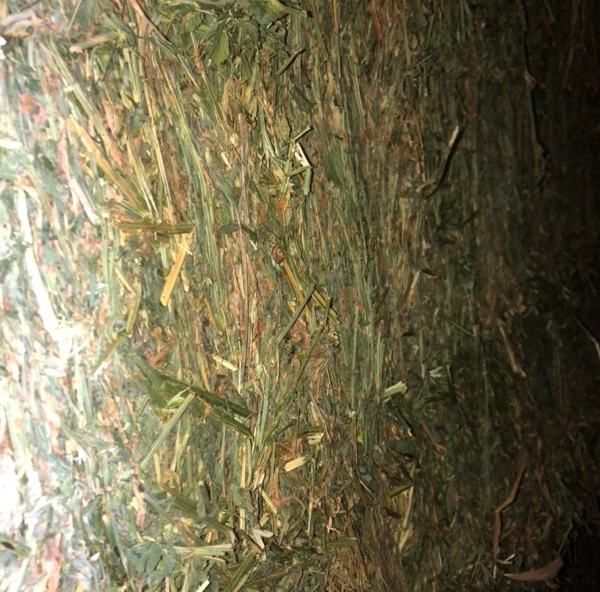  Lucerne Hay in 8x4x3’s -  28 Bales - Sold Per Bale