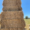 Clover & Rye Grass Hay - 8x4x3 Large Squares