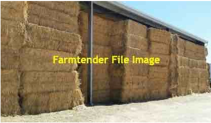 60mt Oaten/Rye Grass Hay 8x4x3