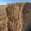 Barley Straw Ex Farm 582kg Bales