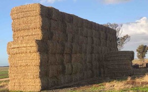 119 Bales of Wheaten Straw 8x4x3 Bales 490-520 Kg's