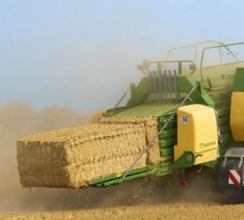 130 x Oaten Hay 8x4x4 Bales