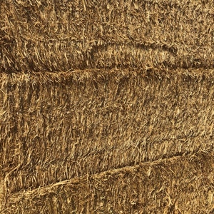 NEW SEASON WHEATEN HAY